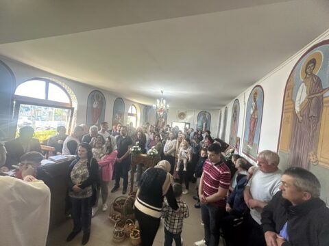 IMG-ec8040fd17b6915f91bed94f34a19189-V_resize