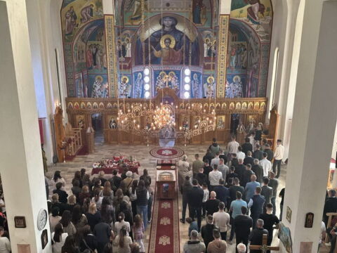 IMG-ff496629e464a8f8e425d1f9db95deee-V_resize