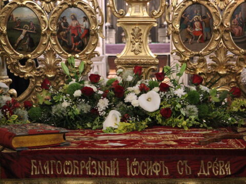 IMG_1552_resize