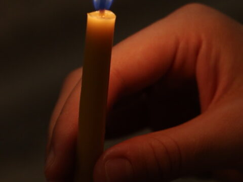 IMG_1667_resize