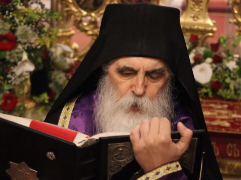 IMG_1780_resize