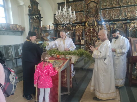 IMG_20250412_173438_resize