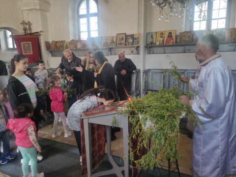 IMG_20250412_173449_resize