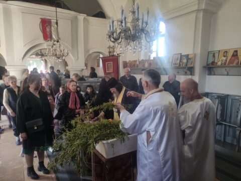 IMG_20250412_173608_resize