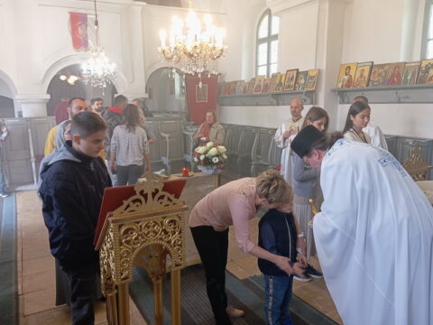 IMG_20250420_115534_resize