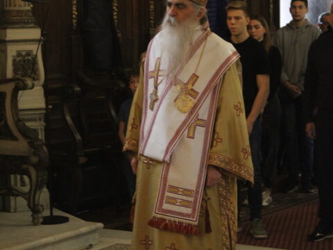 IMG_5784_resize