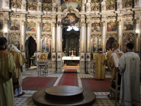 IMG_5786_resize