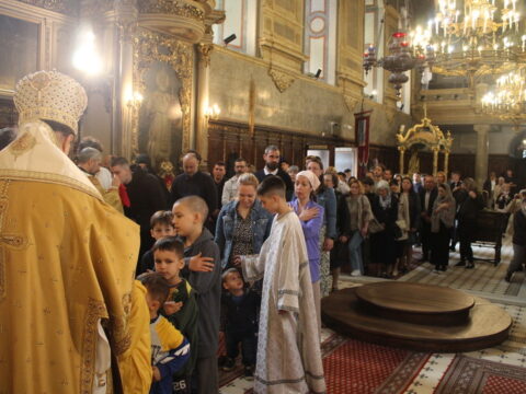 IMG_5858_resize