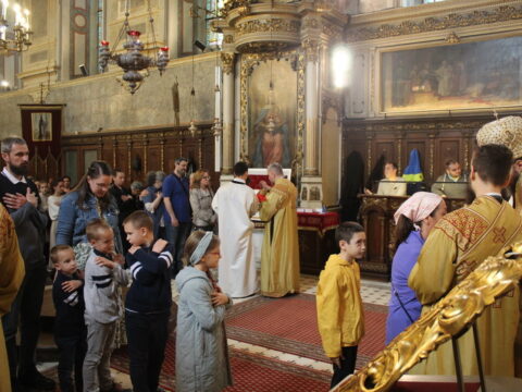 IMG_5865_resize