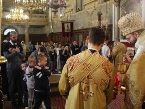 IMG_5866_resize