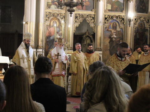 IMG_5882_resize