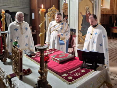 cff12c83-21c9-4cec-a4c0-68a27f4e0f9f_resize