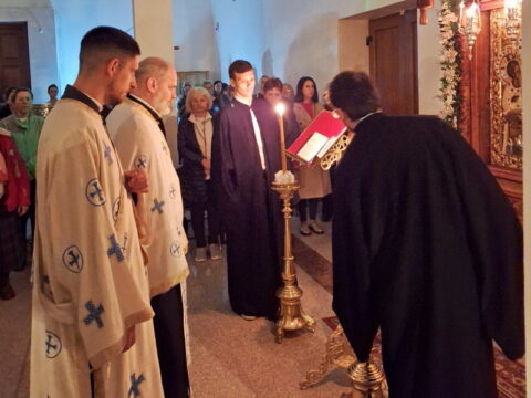 viber_image_2025-04-05_10-54-38-247_resize