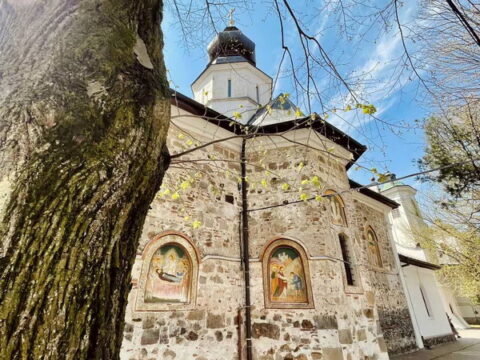 viber_image_2025-04-07_11-08-01-728_resize