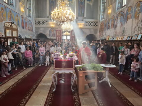 viber_image_2025-04-12_20-40-12-155_resize