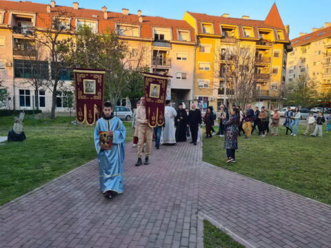 viber_image_2025-04-13_15-16-09-583_resize