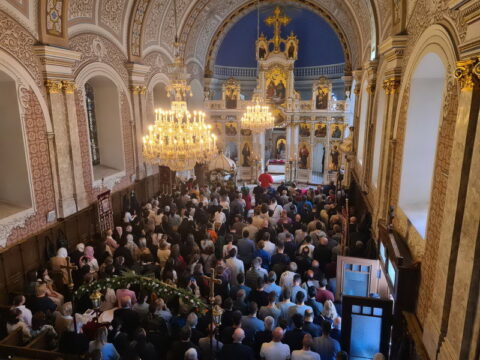 viber_image_2025-04-20_11-47-31-328_resize