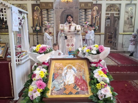 viber_image_2025-04-20_21-26-37-102_resize