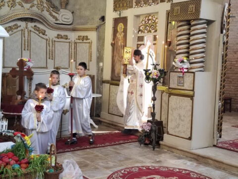 viber_image_2025-04-20_21-26-37-280_resize