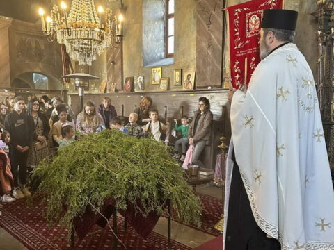 viber_slika_2025-04-12_18-03-48-456_resize