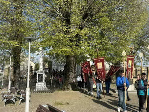 viber_slika_2025-04-12_18-04-28-966_resize