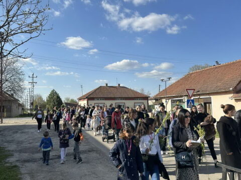 viber_slika_2025-04-12_18-04-37-411_resize