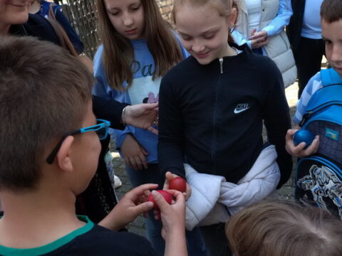 viber_slika_2025-04-20_12-44-37-868_resize