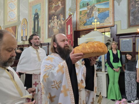 1000002205_resize