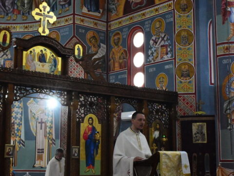 1000008528_resize