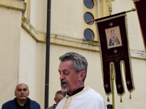 1000008530_resize