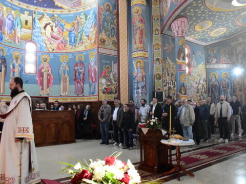 1000008534_resize
