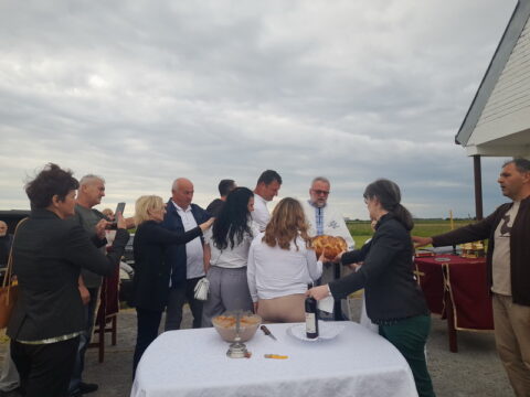 1000022249_resize