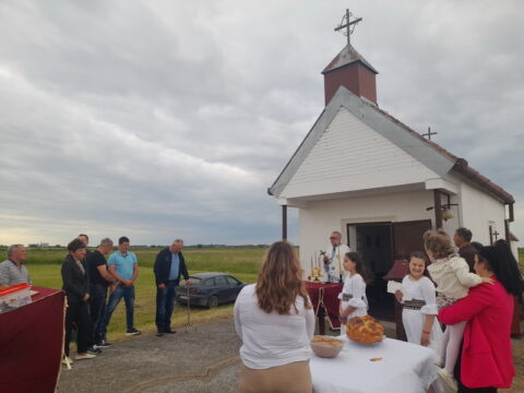 1000022251_resize