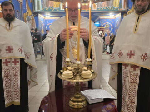 1000030468_resize