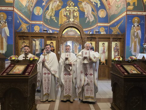 1000030479_resize