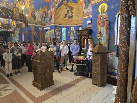 1000030481_resize