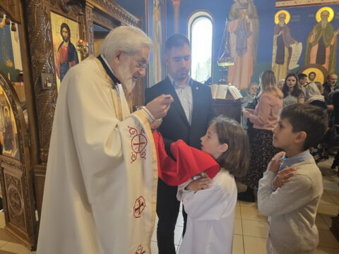 1000030486_resize