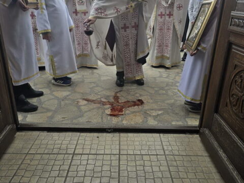 1000030496_resize