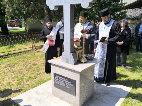 1746908143237_resize