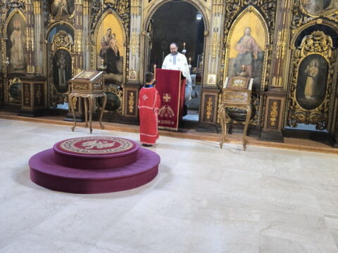 1746908143253_resize