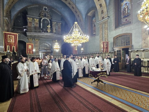 20250506_182913_resize