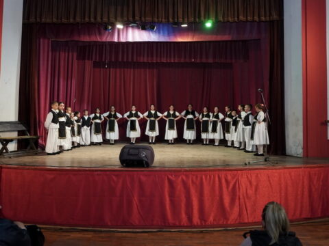 DSC02202_resize