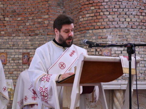 DSC_2632_resize_resize