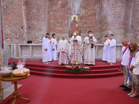 DSC_2746_resize_resize