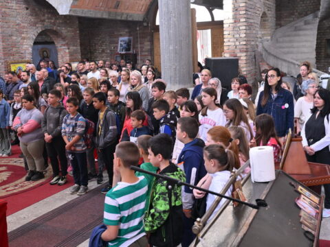 DSC_2803_resize_resize