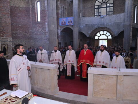 DSC_3147_resize_resize