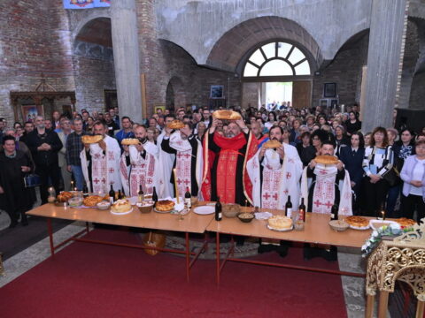 DSC_3231_resize_resize