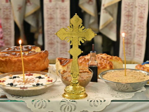 DSC_4271_resize