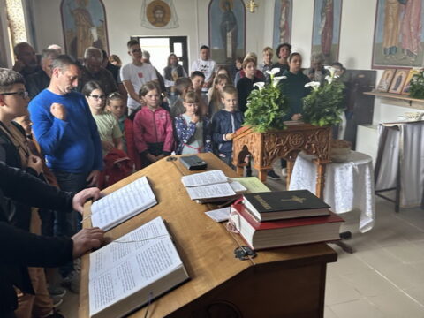 IMG-23e936363953234343dda5c25dc37188-V_resize