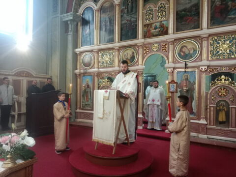 IMG-3649bdad6617eb3fbf9b030a65562f48-V_resize